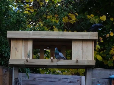 Groot vogelvoederhuis voor op de schutting